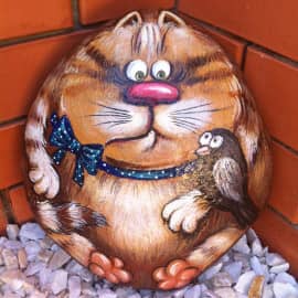 Кот на морском камне