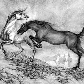 Дерущиеся лошади