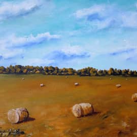 Красинские поля