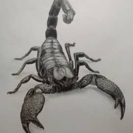 Скорпион МК1