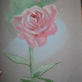 Роза (пастель)