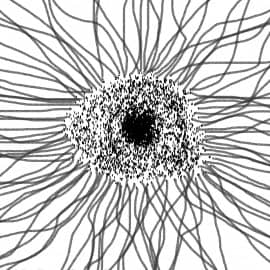 Глаз мыслей