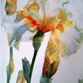 Ирис, сюжет 2