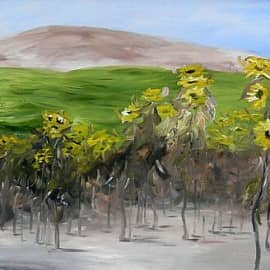 Летний день. Подсолнухи