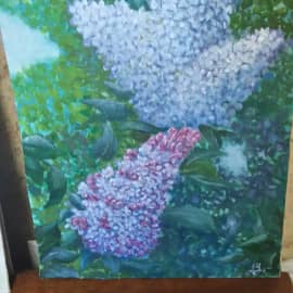 Королева Сирень