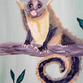 Австралийский Опоссум