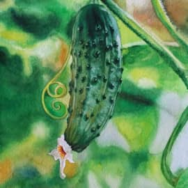 Зеленый огурчик