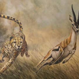 Жизнь в саванне