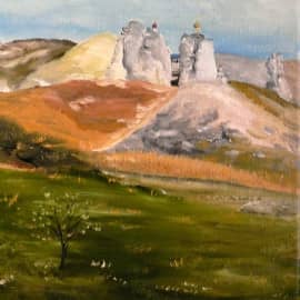 "Воронеж. Костомарово"