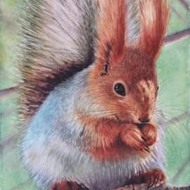 "Лесная красавица"