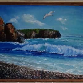 Чайка над морем