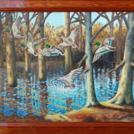 Утки прилетели