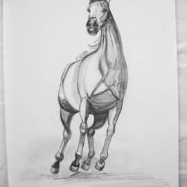 Рисунок карандаш бумага, сюжет 5