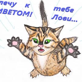 Полёт кота.