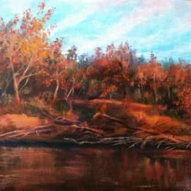 Коряжник на реке