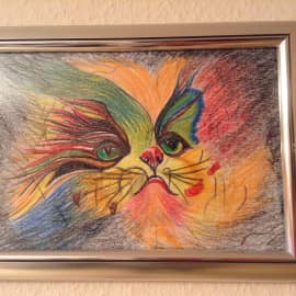 "Мои котики"