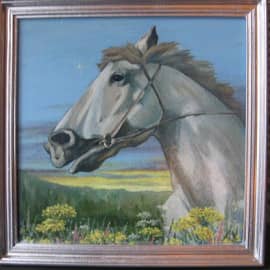 Утренняя Звездочка