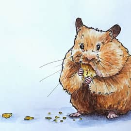 Хомяк хомячит