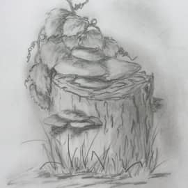 Дачные зарисовки