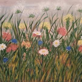 Луговые цветы