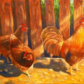 Символ 2017 года с гаремом.