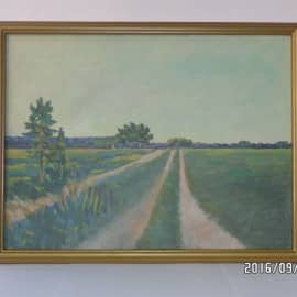  Дорога в поле