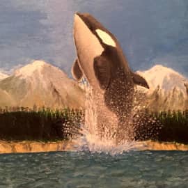 Кит касатка