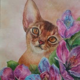 Любимый питомец