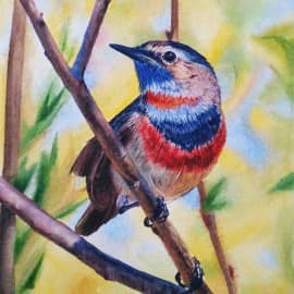 "Варакушка"