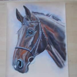 DSCN4176Репеиник