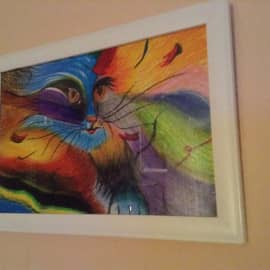 "Мои котики2"