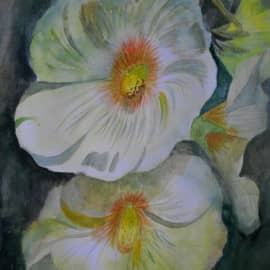 Мальва-краса