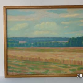  Пейзаж с полем