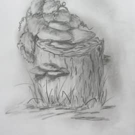 Дачный урожай