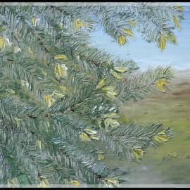 Красная шапочка