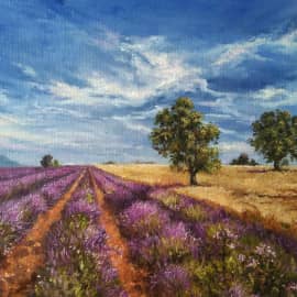 "Лавандовое поле"