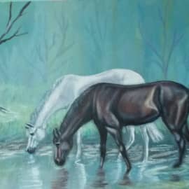 DSCN3140На водопое в туманном лесу.