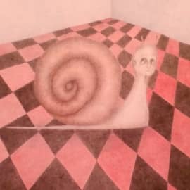 Шахматная улитка