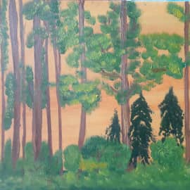 Сосны на закате.