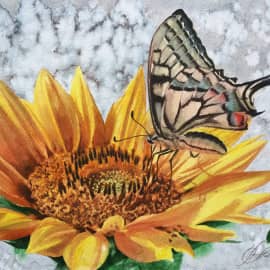 "Прилетело лето"