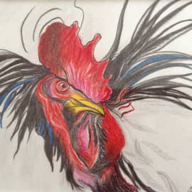 Огненный петух, сюжет 2