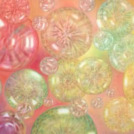 Вкус Свободы