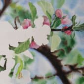 Яблоня в цвету, сюжет 2 (2), художник Любовь Титова
