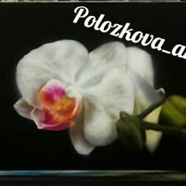 Орхидея
