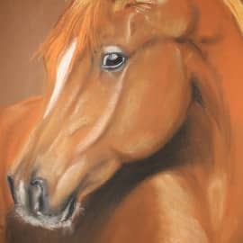 Рыжий конь