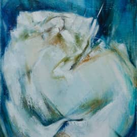 Офисный кот