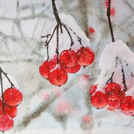 Первый снег