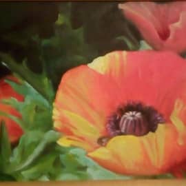 Маки, сюжет 2