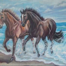 DSCN4227     На перегонки с ветром.