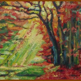 Осенний свет